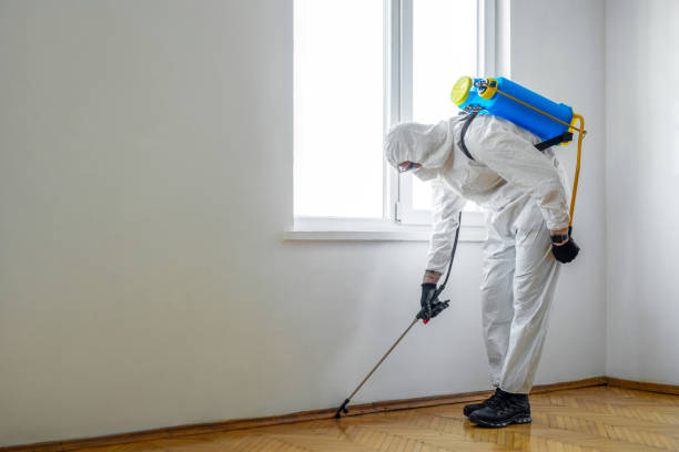 Pest Control Cost in Bridgeport, PA